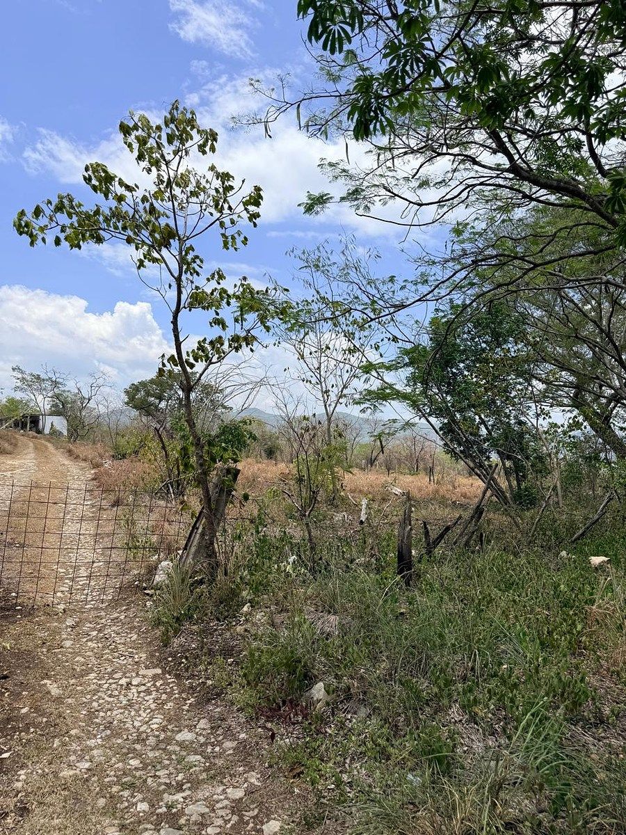Terreno en Joyas del Campestre, Tuxtla Gutiérrez, foto 4 de 8