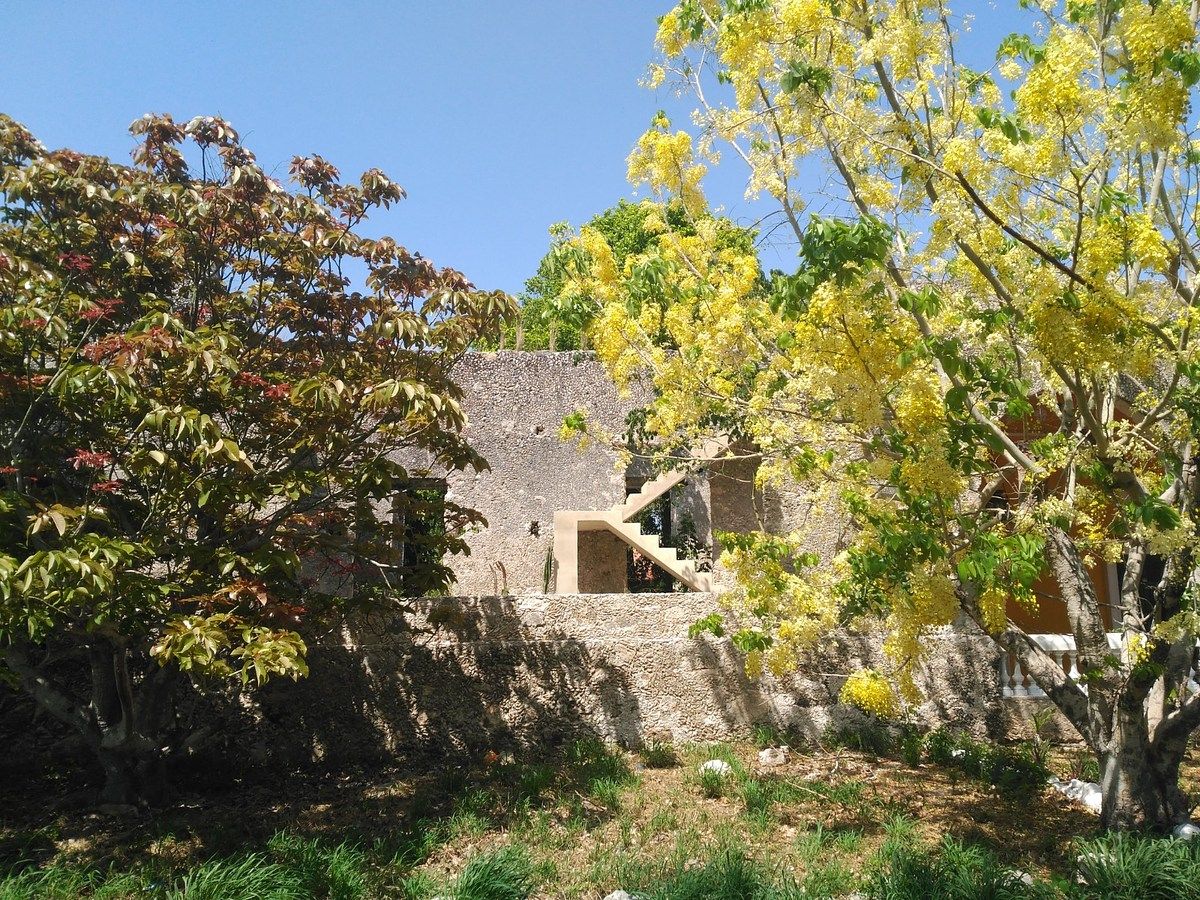 Country House in Tixkokob, Tixkokob, photo 12 of 14