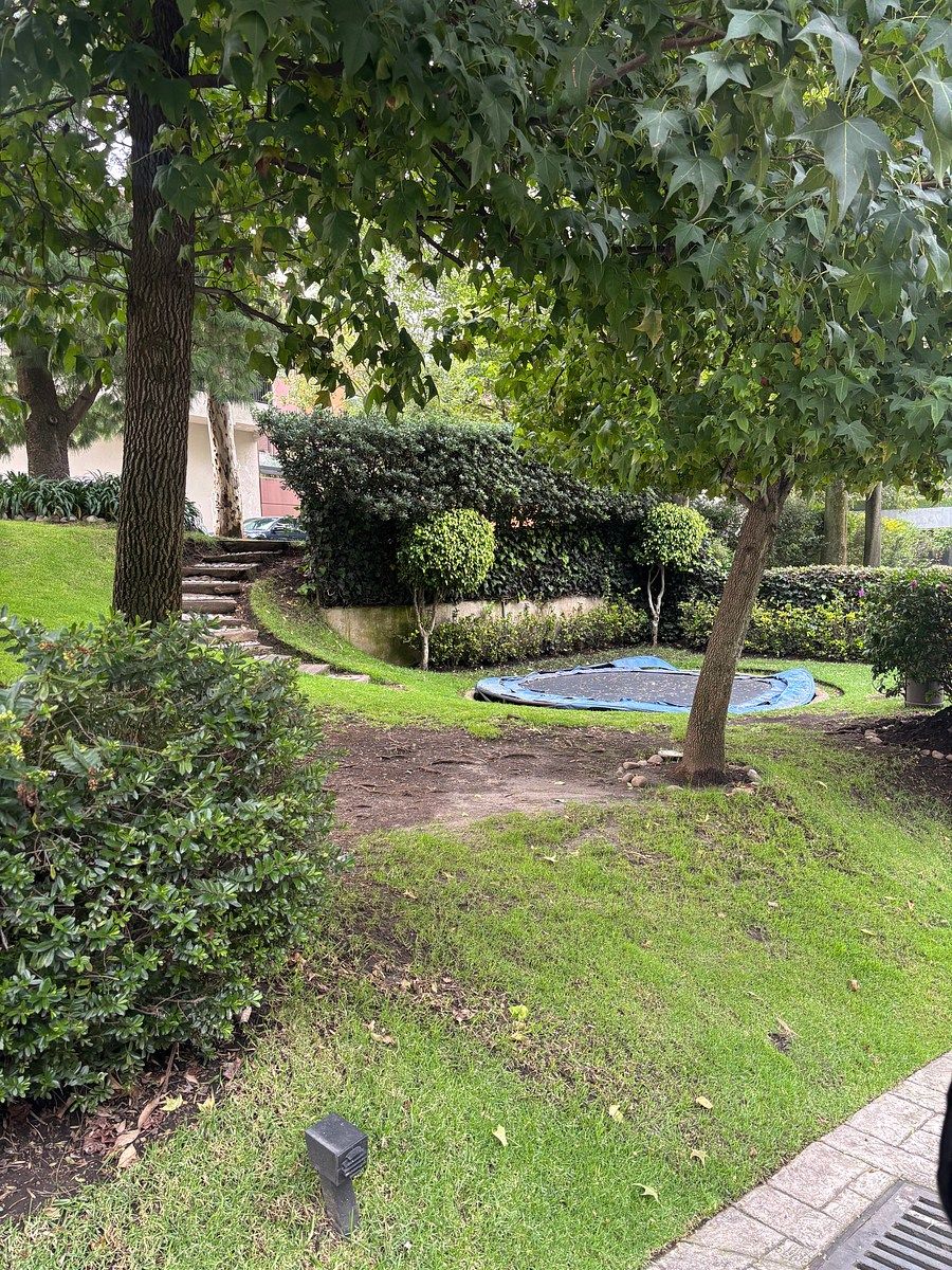 Casa en condominio en Bosques de las Lomas, Cuajimalpa de Morelos, foto 29 de 29