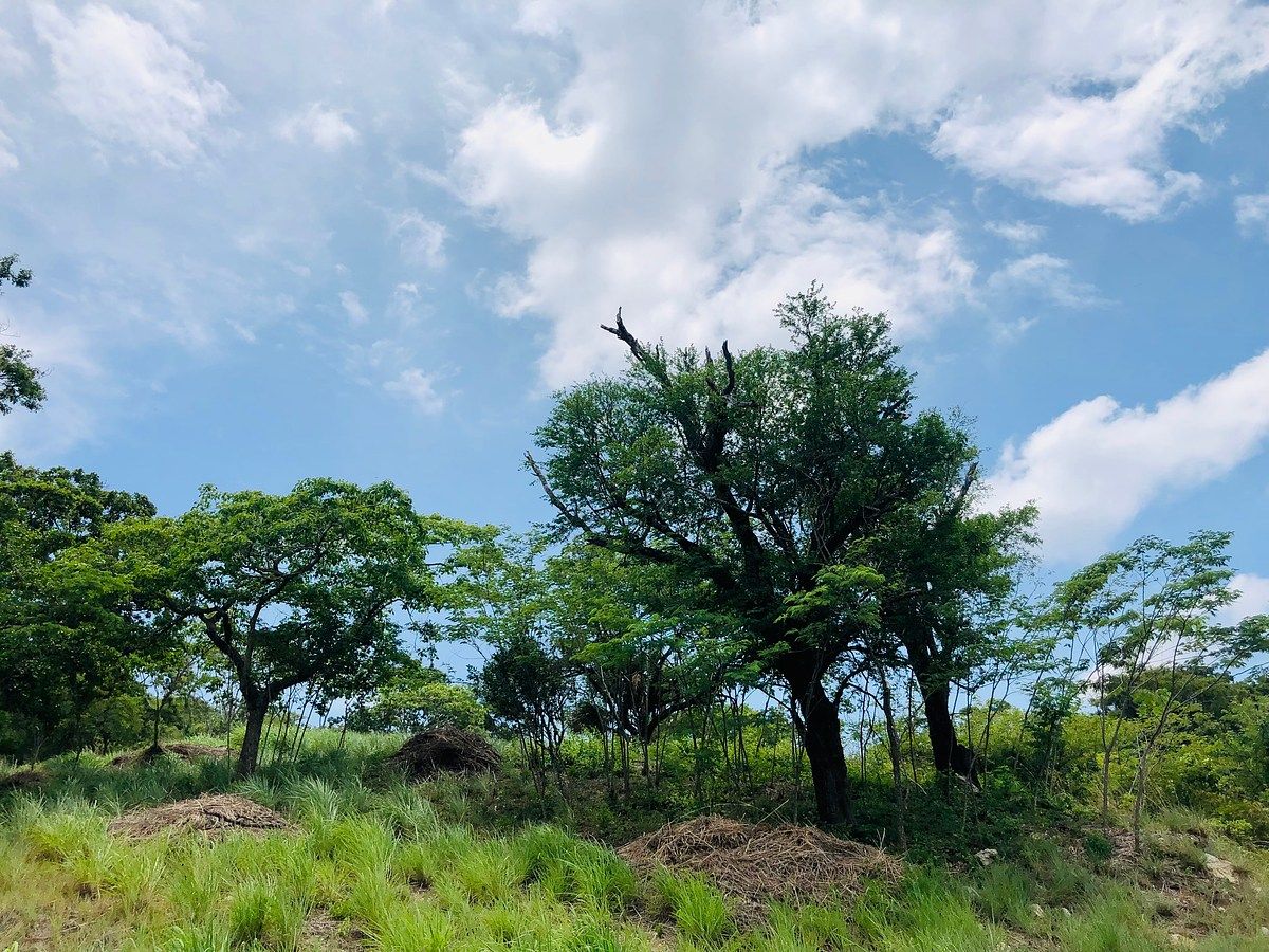 Lote em La Cima, Tuxtla Gutiérrez, foto 6 de 9