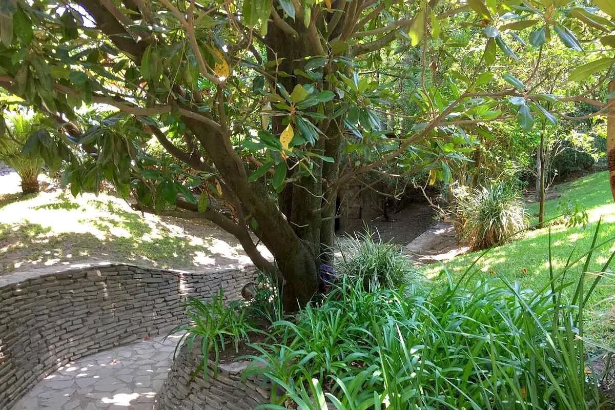 Lote em Colinas de San Javier, Zapopan, foto 27 de 29