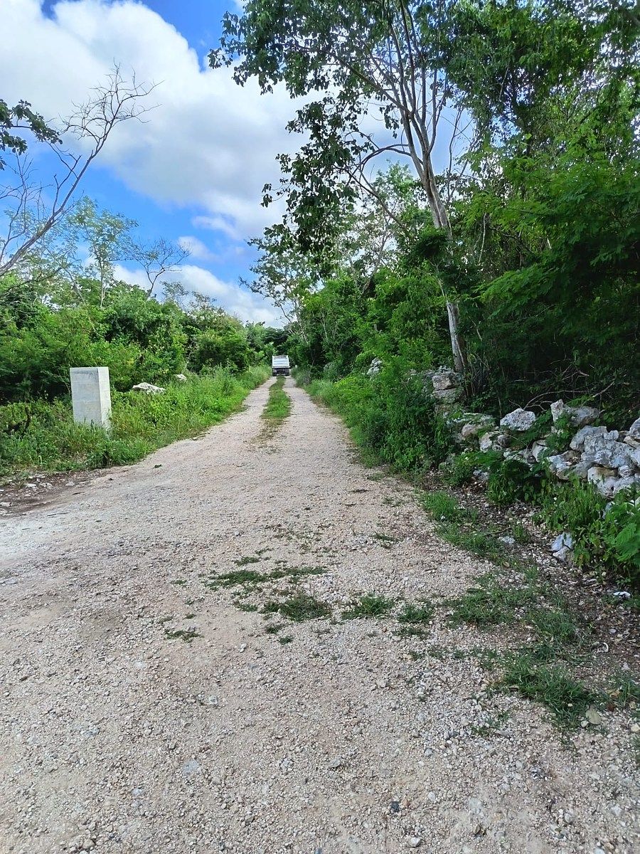 Lot in Xcunya, Mérida, photo 2 of 3