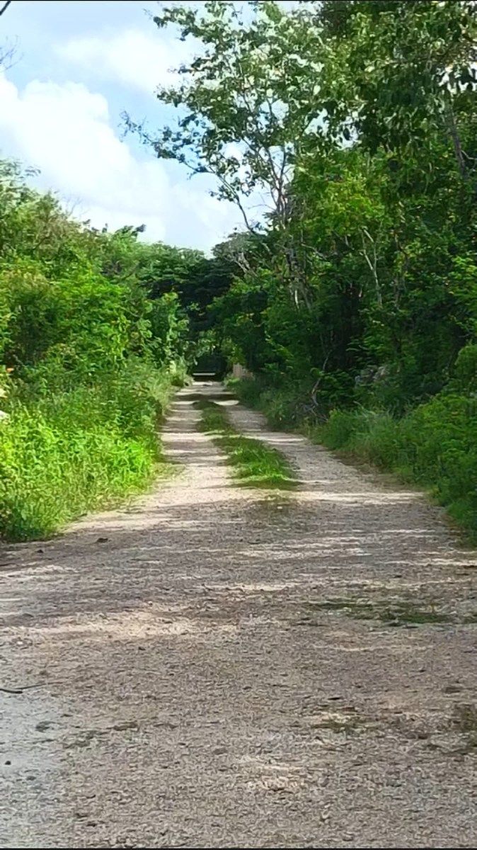 Land for Sale, Country Zone, Mérida, Yucatán, photo 1 of 3