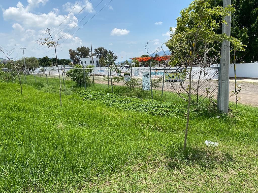Commercial Lot in Cajititlán, Tlajomulco de Zúñiga, photo 4 of 6