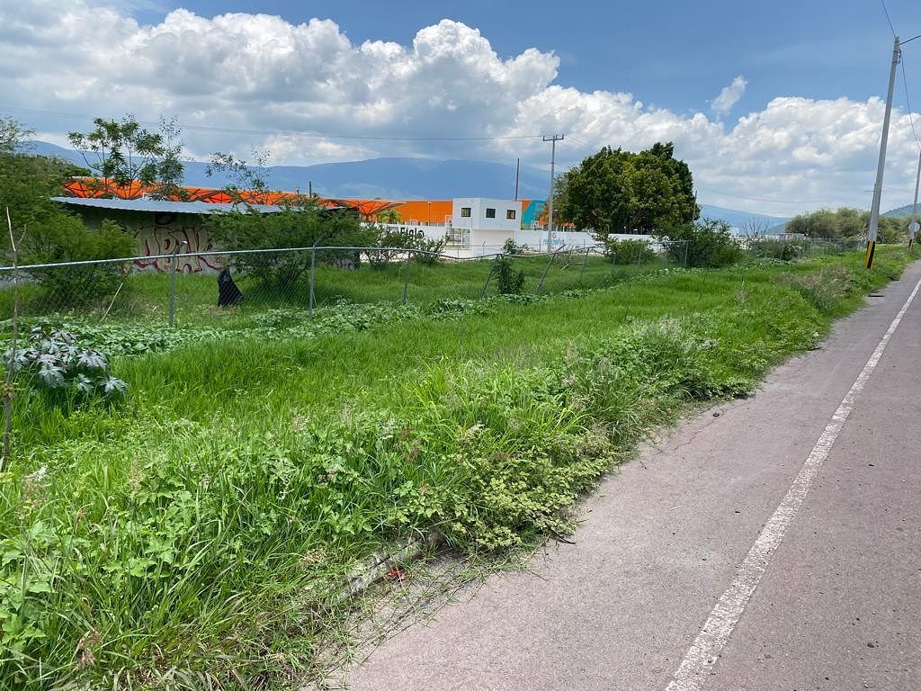 Commercial Lot in Cajititlán, Tlajomulco de Zúñiga, photo 3 of 6