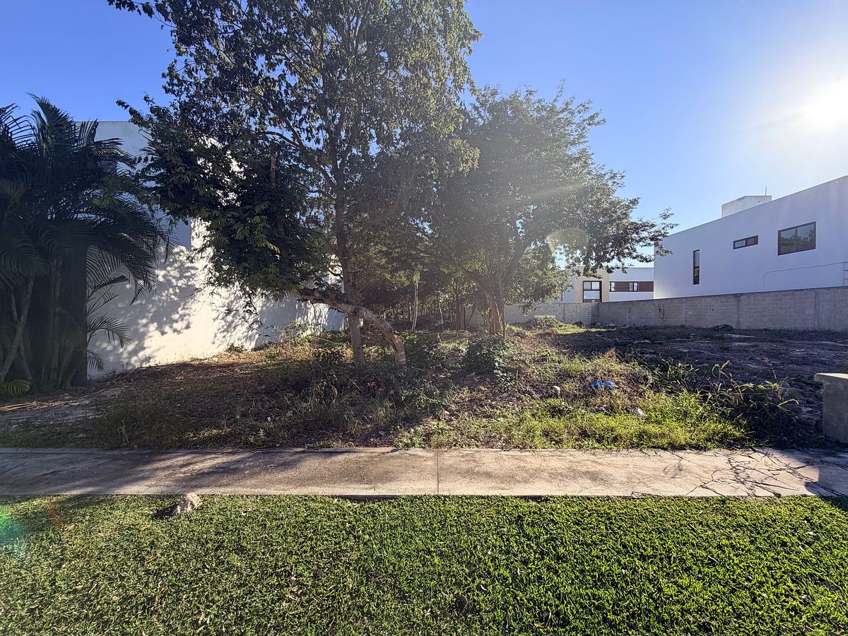 Terreno en Parque Natura, Mérida, foto 3 de 6