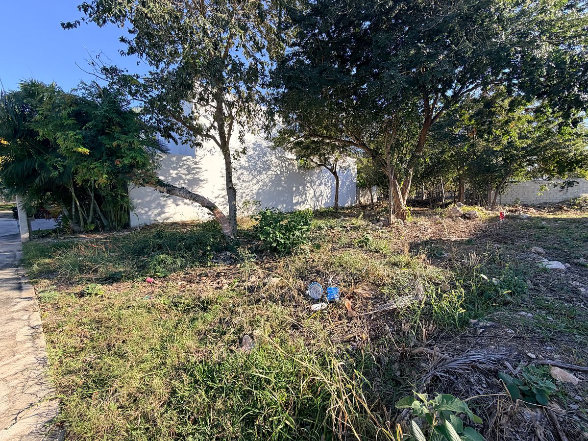 Terreno en Parque Natura, Mérida, foto 4 de 6