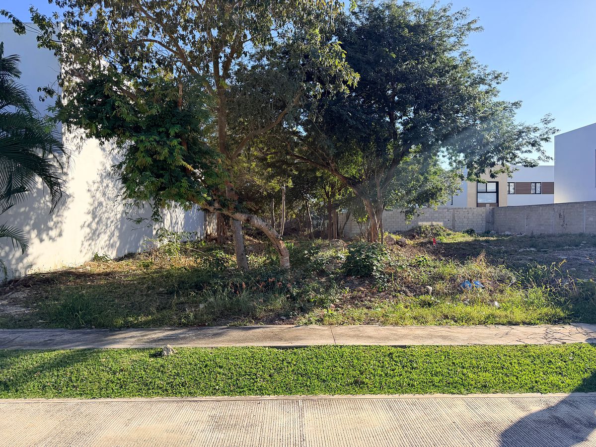 Terreno en Parque Natura, Mérida, foto 5 de 6