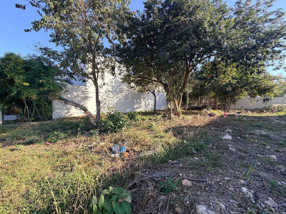 Terreno en Parque Natura, Mérida, foto 6 de 6