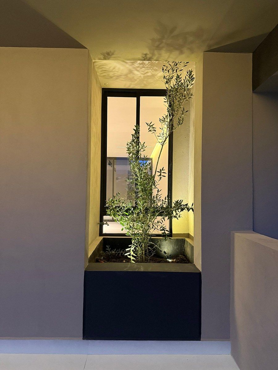 House in Centro Sur, Querétaro, photo 6 of 13