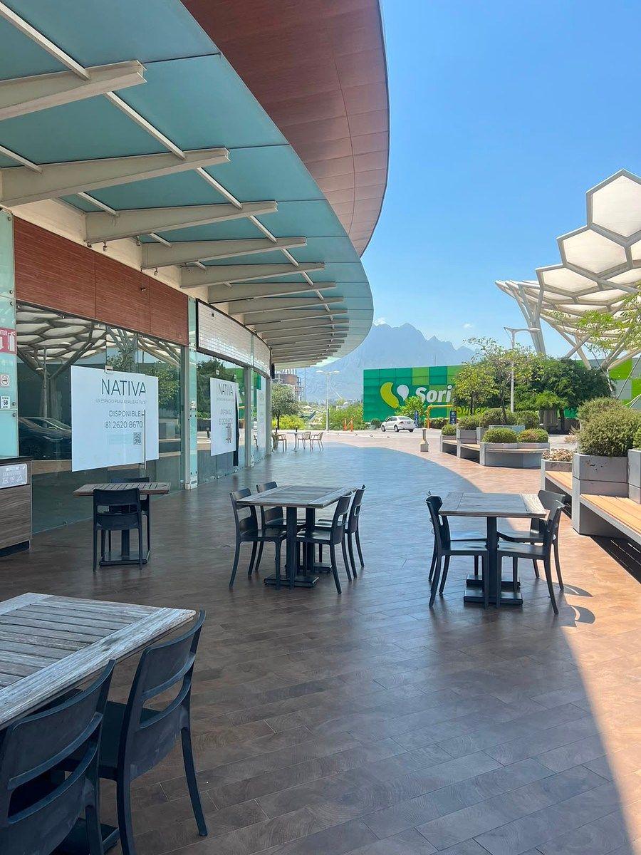 Local comercial en Lázaro Garza Ayala, San Pedro Garza García, foto 5 de 5
