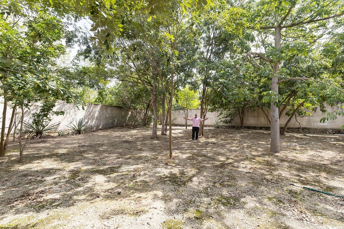House in Conkal, Conkal, photo 12 of 35
