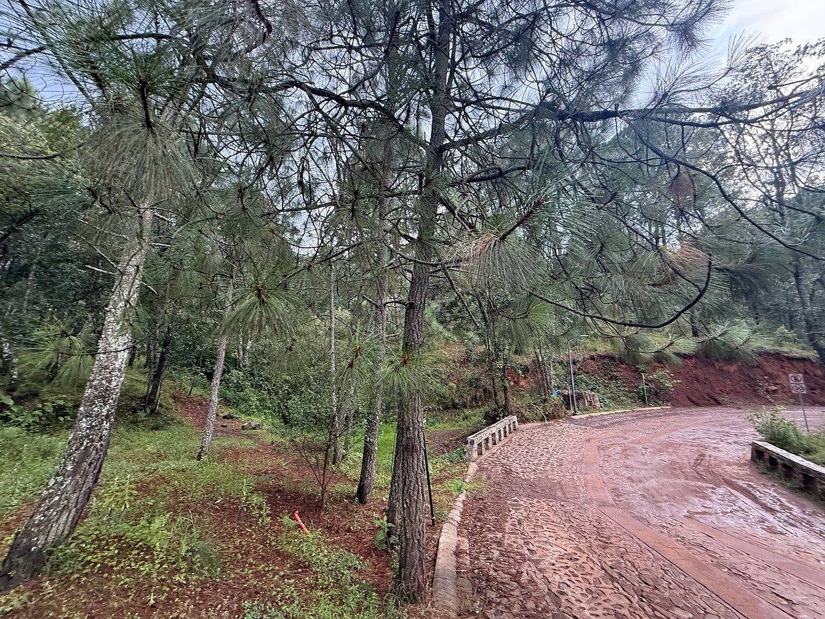 Terreno en Mazamitla, Mazamitla, foto 2 de 10