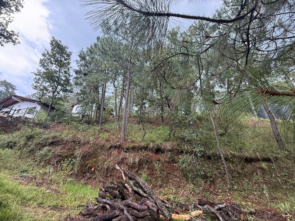 Terreno en Mazamitla, Mazamitla, foto 3 de 10
