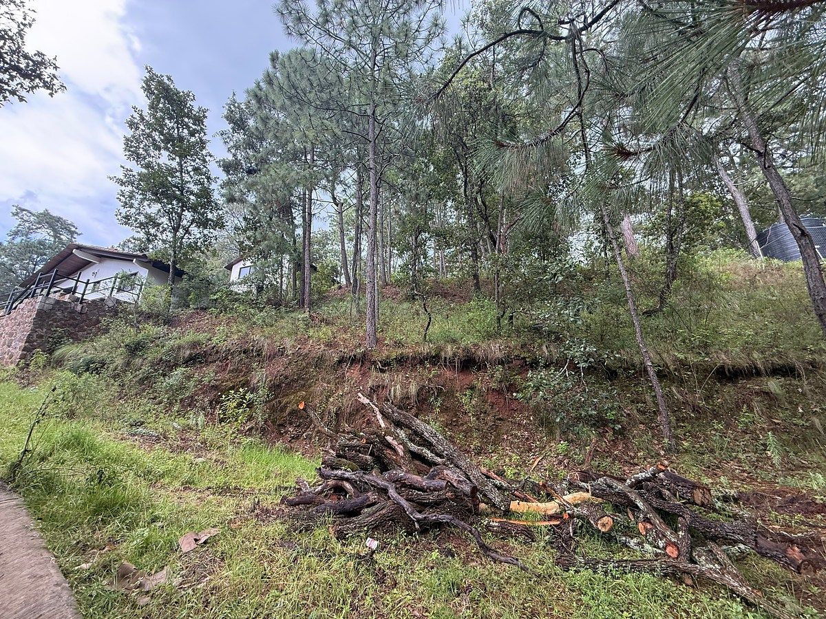 Terreno en Mazamitla, Mazamitla, foto 4 de 10