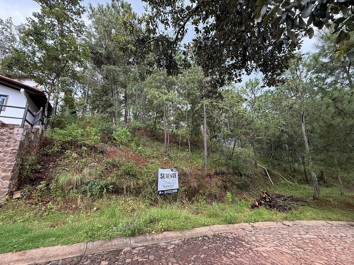 Terreno en Mazamitla, Mazamitla, foto 5 de 10