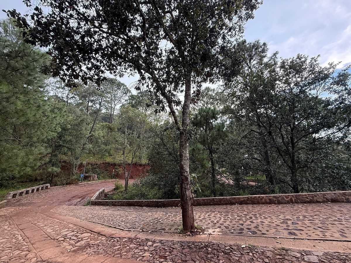 Terreno en Mazamitla, Mazamitla, foto 7 de 10