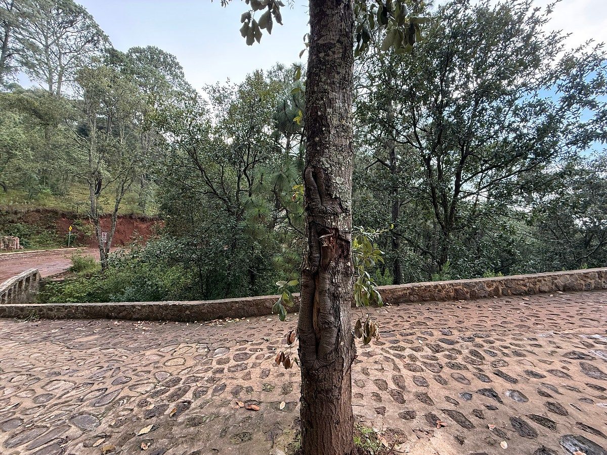 Terreno en Mazamitla, Mazamitla, foto 8 de 10
