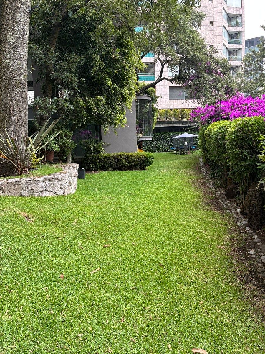 Apartment in Bosques de las Lomas, Cuajimalpa de Morelos, photo 26 of 29