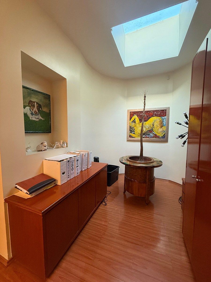 Sala Comercial em Florida, Álvaro Obregón, foto 6 de 18