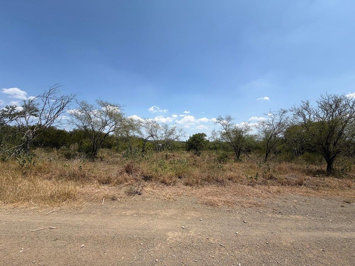 TERRENO RURAL À VENDA MONTEMORELOS NL, foto 1 de 3