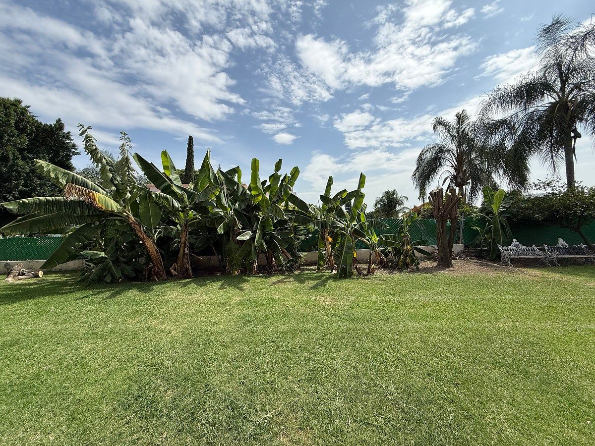 House in Lomas de Cocoyoc, Atlatlahucan, photo 49 of 49