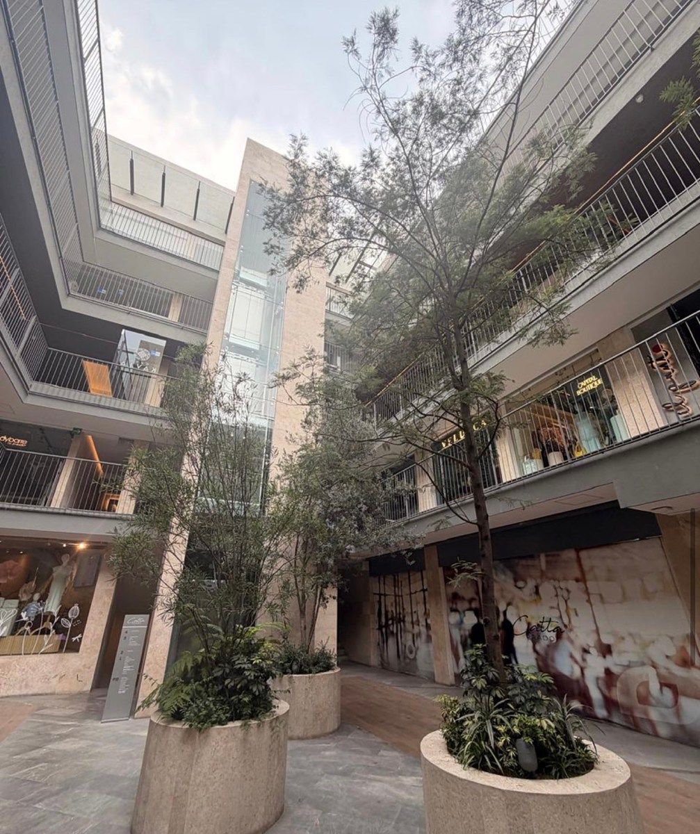 Retail Space in Lomas de Chapultepec I Sección, Miguel Hidalgo, photo 4 of 6