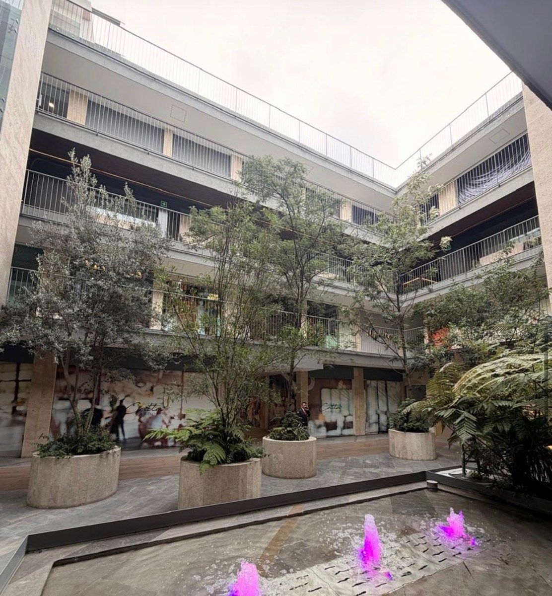 Retail Space in Lomas de Chapultepec I Sección, Miguel Hidalgo, photo 5 of 6