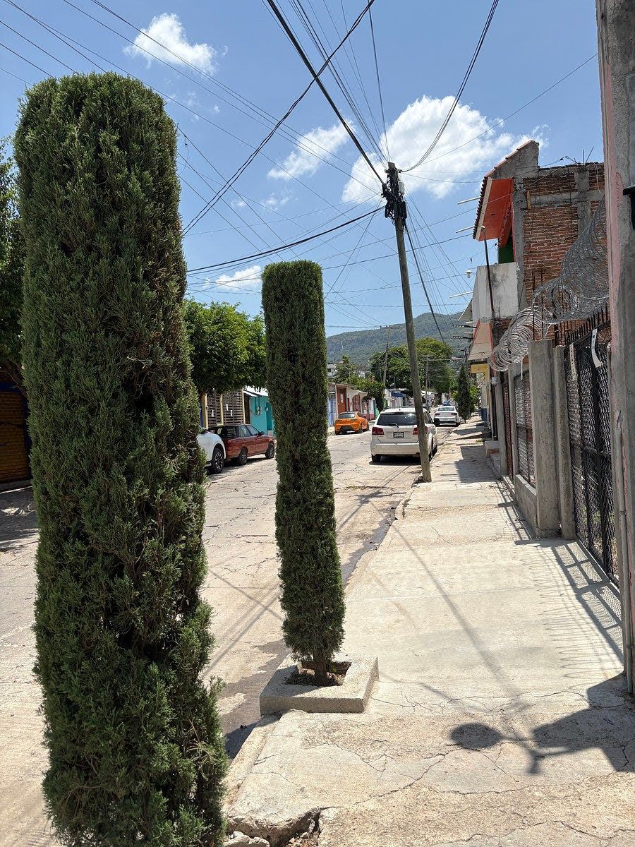 Retail Space in Penipak, Tuxtla Gutiérrez, photo 10 of 11