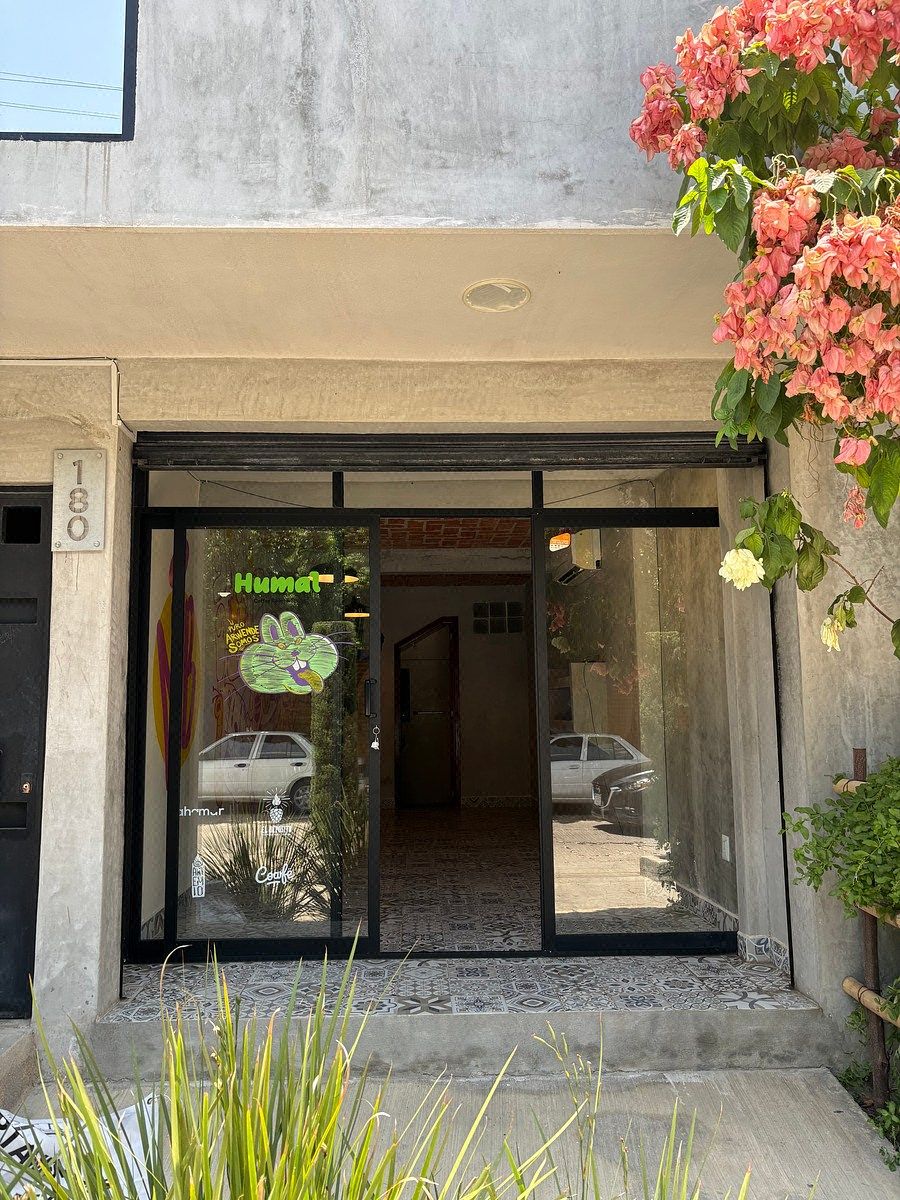 Retail Space in Penipak, Tuxtla Gutiérrez, photo 2 of 11