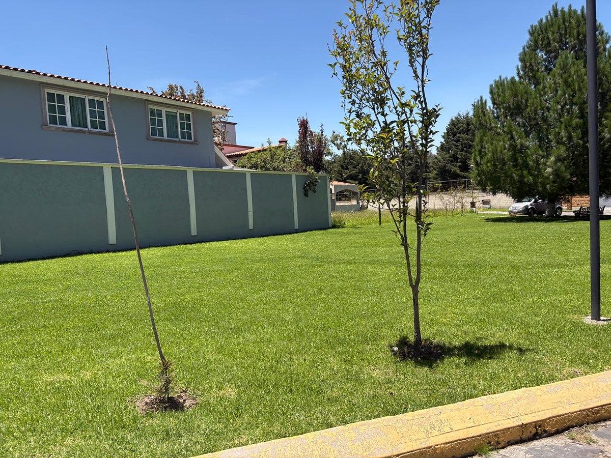 Lot in La Victoria, Zinacantepec, photo 15 of 16