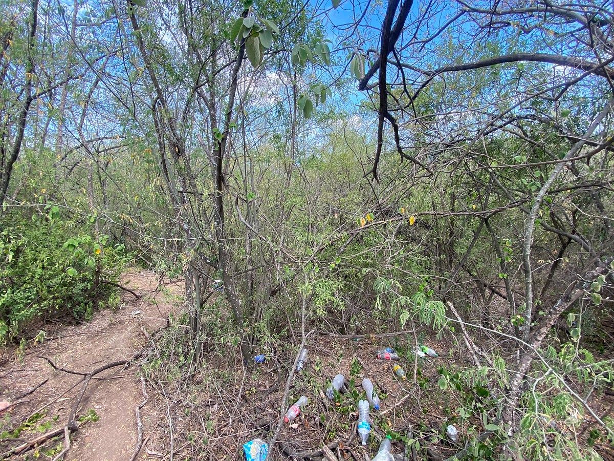 Lote em Sierra Alta 10 Sector, Monterrey, foto 2 de 16