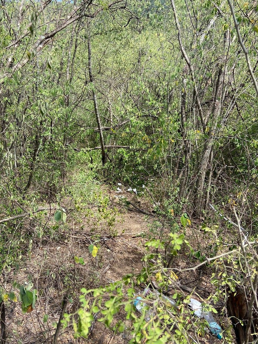 Lote em Sierra Alta 10 Sector, Monterrey, foto 7 de 16