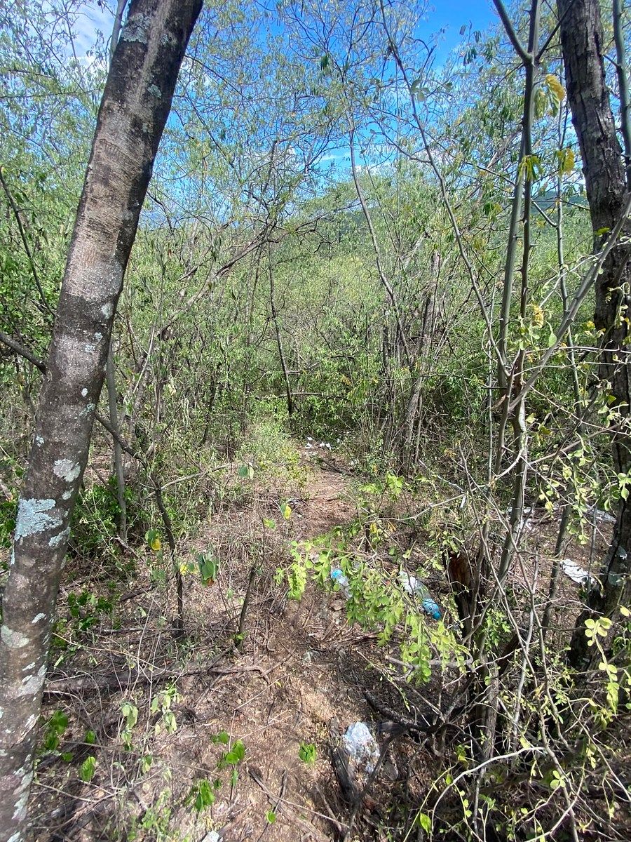 Lote em Sierra Alta 10 Sector, Monterrey, foto 11 de 16