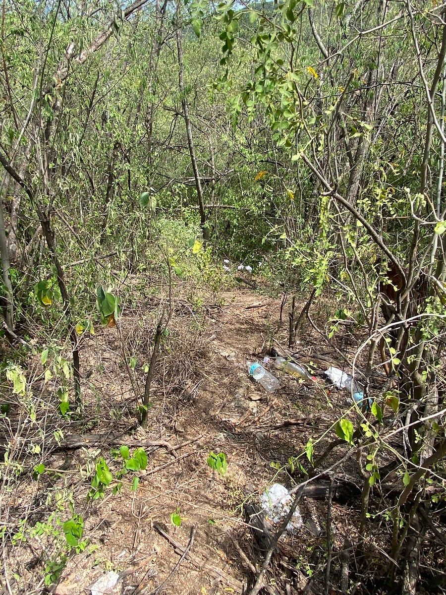 Lote em Sierra Alta 10 Sector, Monterrey, foto 13 de 16
