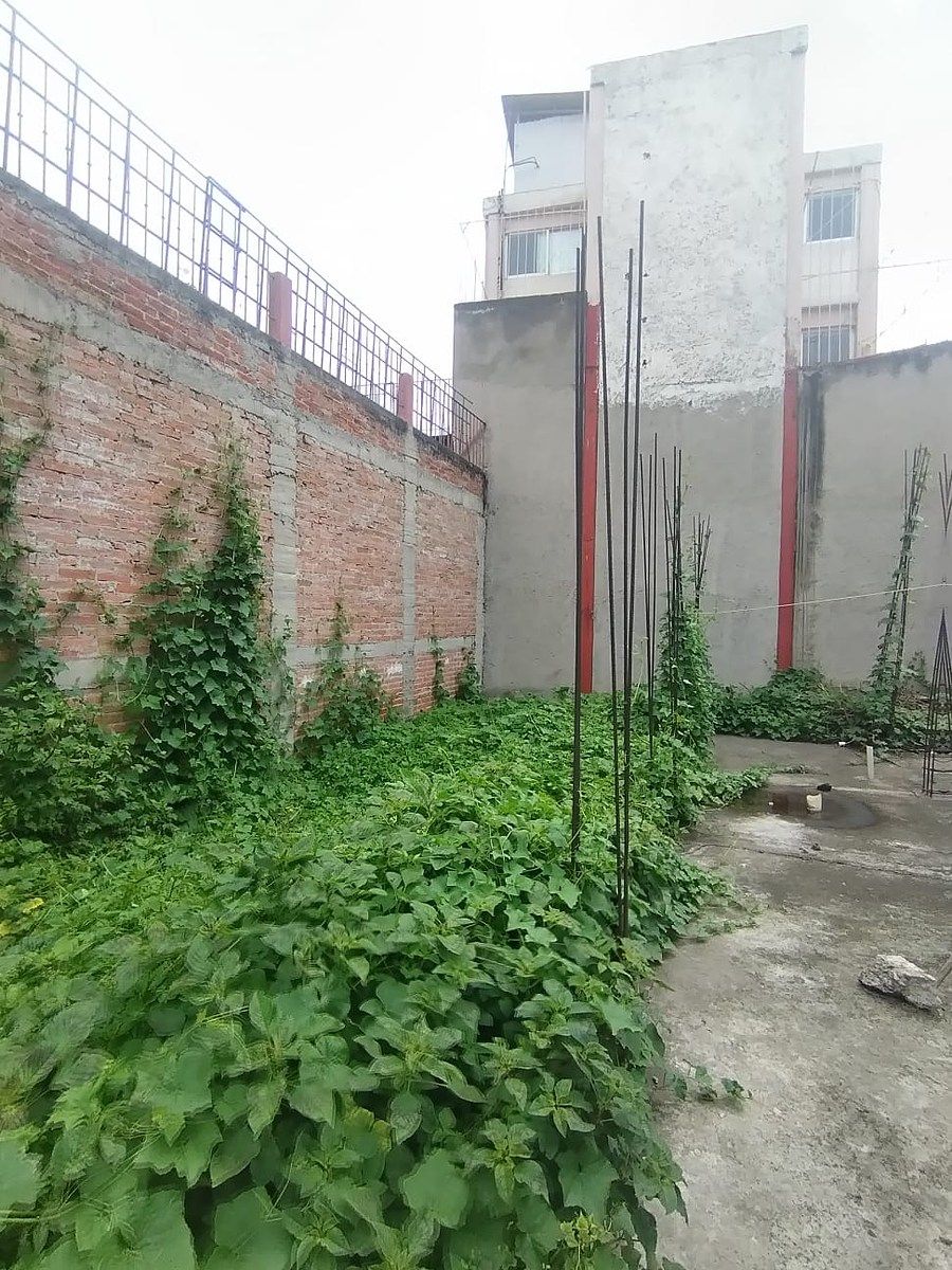 Lote em Paseos del Sur, Xochimilco, foto 7 de 10