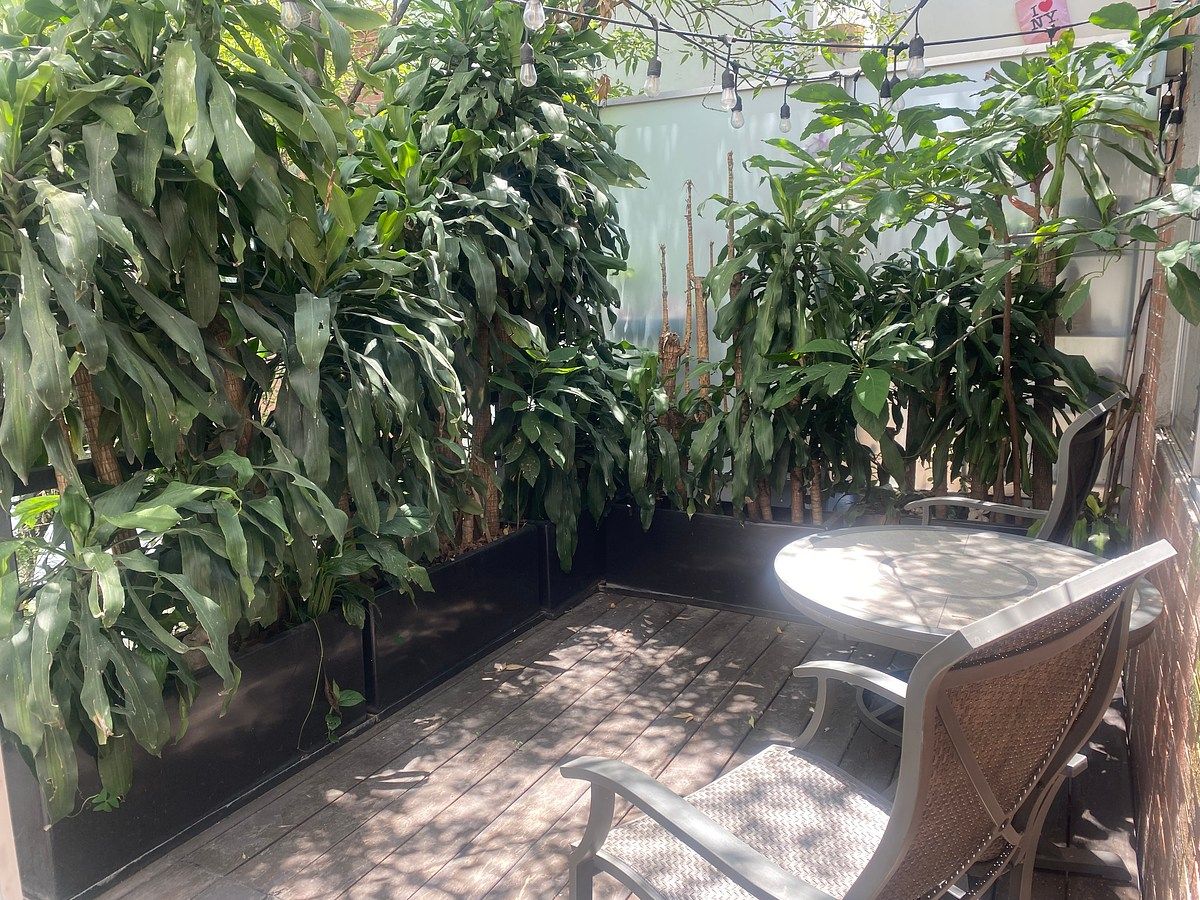 Departamento en Del Valle Centro, Benito Juárez, foto 20 de 20