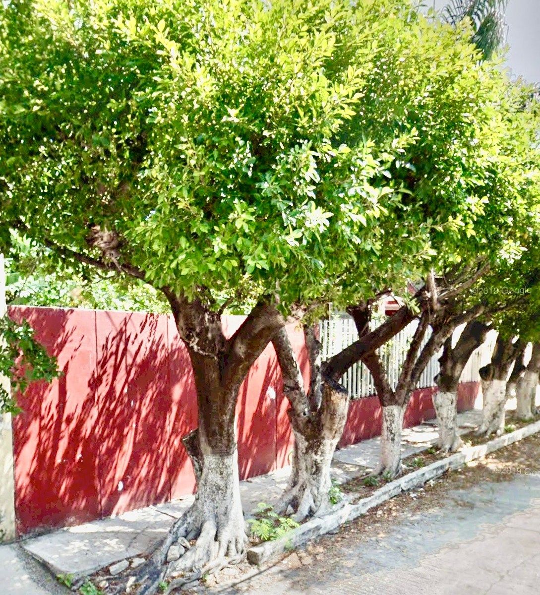 Casa em El Retiro, Tuxtla Gutiérrez, foto 3 de 10