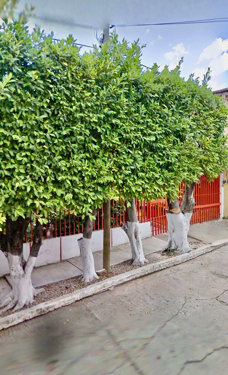 Casa em El Retiro, Tuxtla Gutiérrez, foto 9 de 10