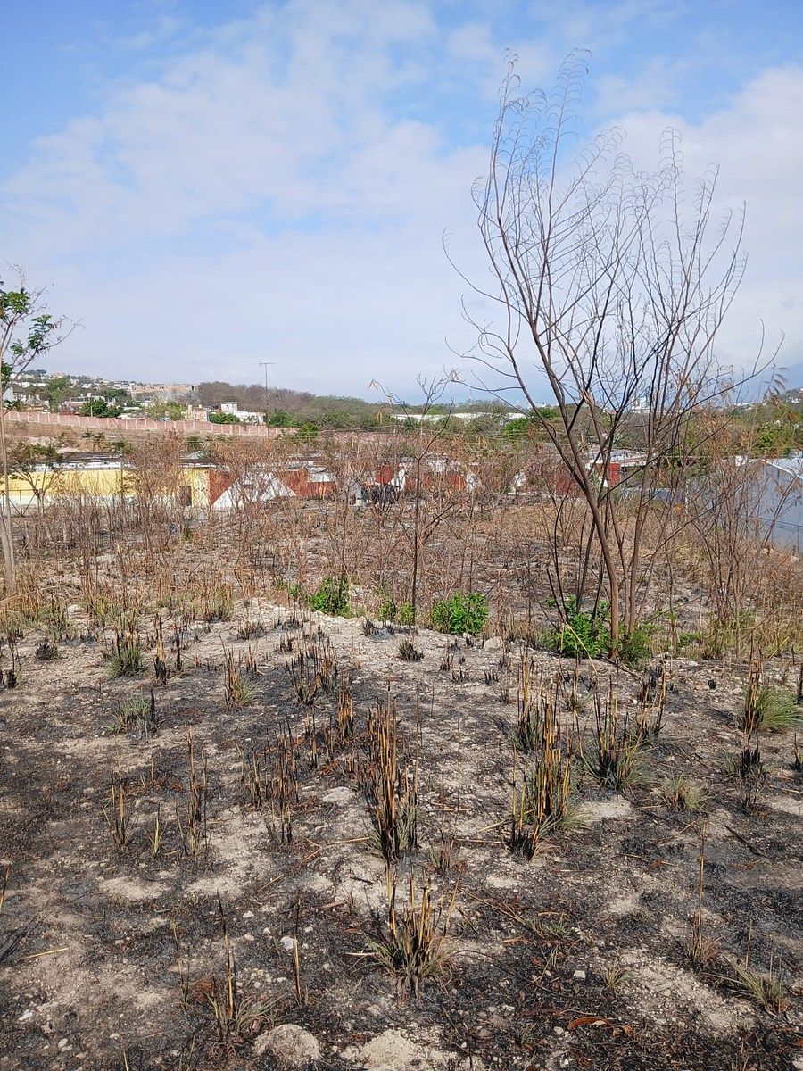 Terreno en Los Ranchos, Tuxtla Gutiérrez, foto 6 de 16