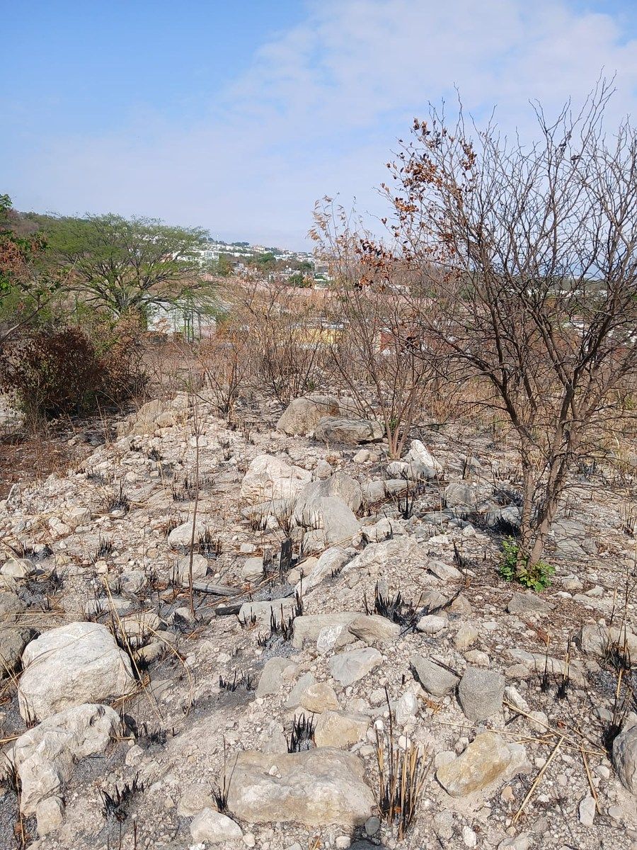 Terreno en Los Ranchos, Tuxtla Gutiérrez, foto 8 de 16