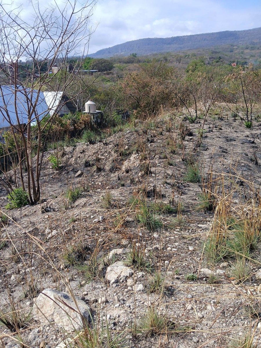 Terreno en Los Ranchos, Tuxtla Gutiérrez, foto 9 de 16