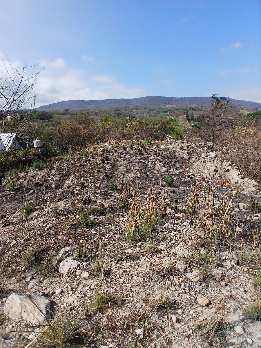 Terreno en Los Ranchos, Tuxtla Gutiérrez, foto 12 de 16