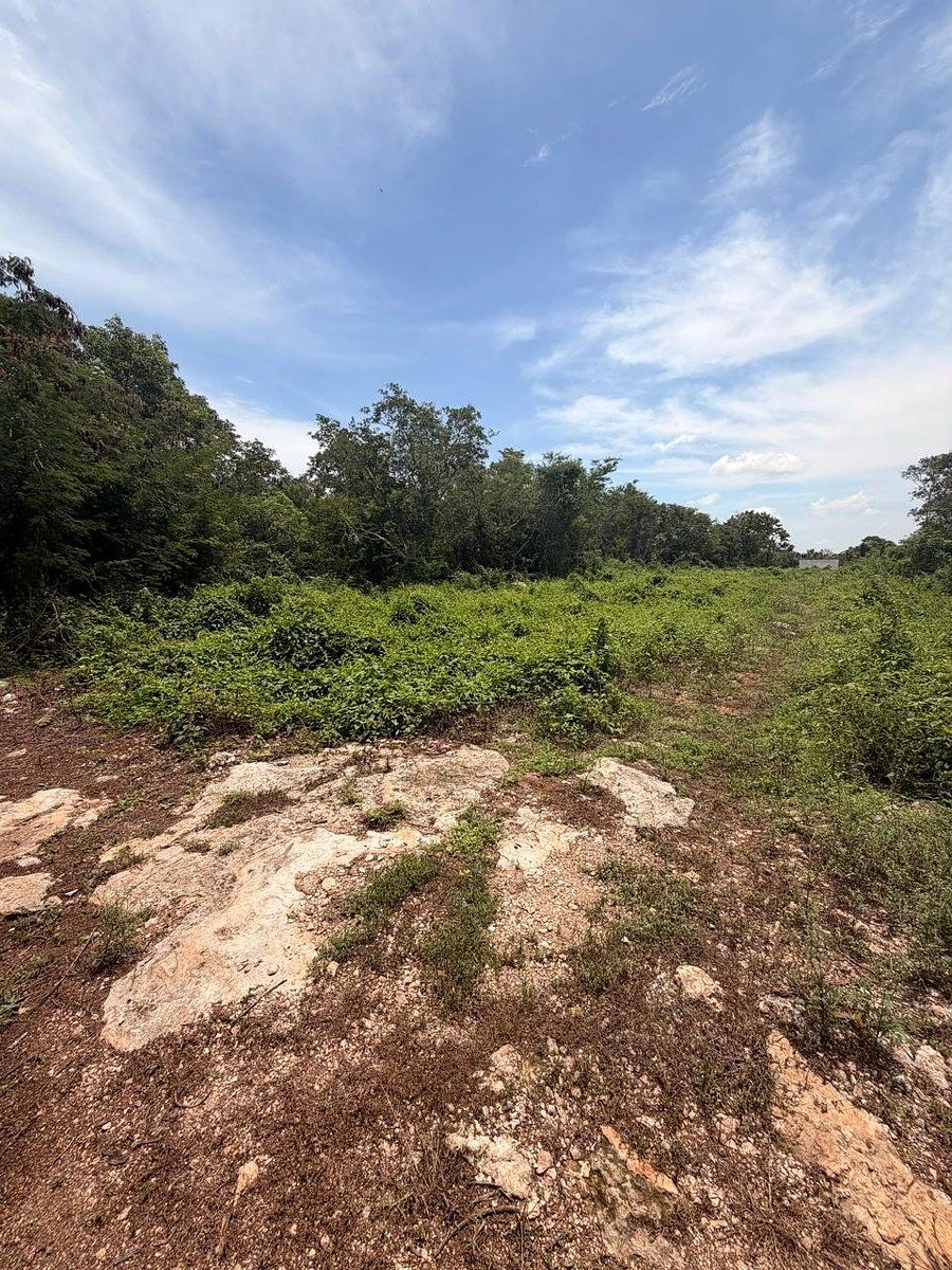 Lote em Baca, Baca, foto 5 de 6