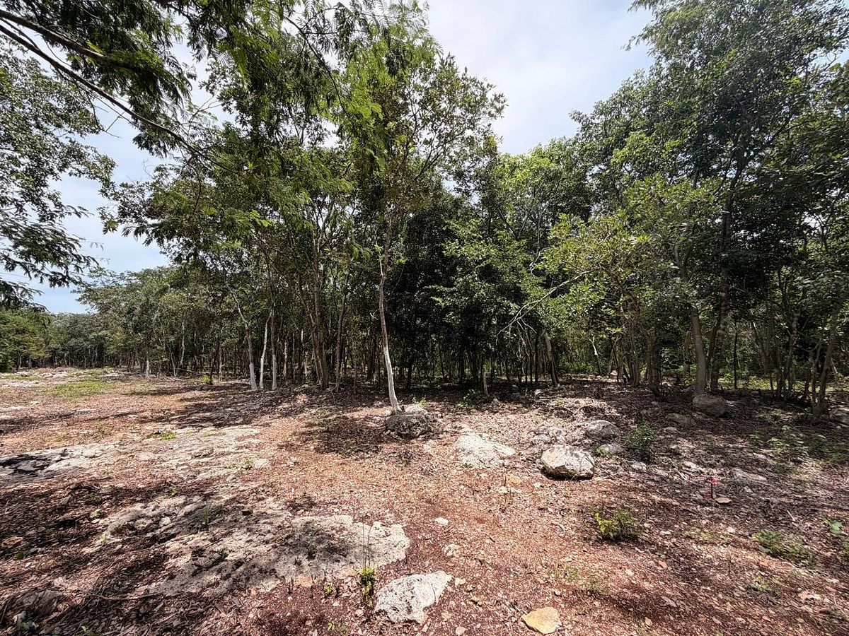 Lote em Baca, Baca, foto 6 de 6