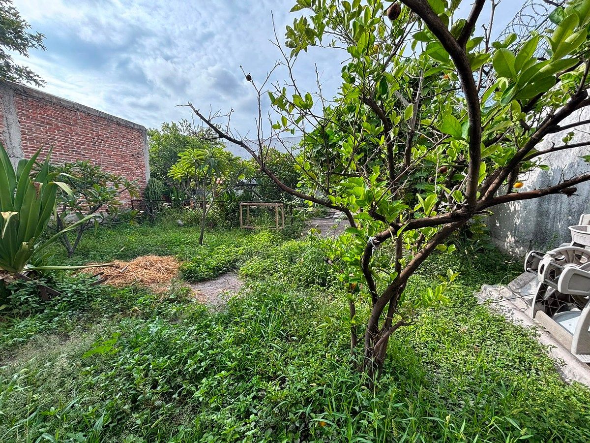 Terreno en Centro, Querétaro, foto 5 de 11