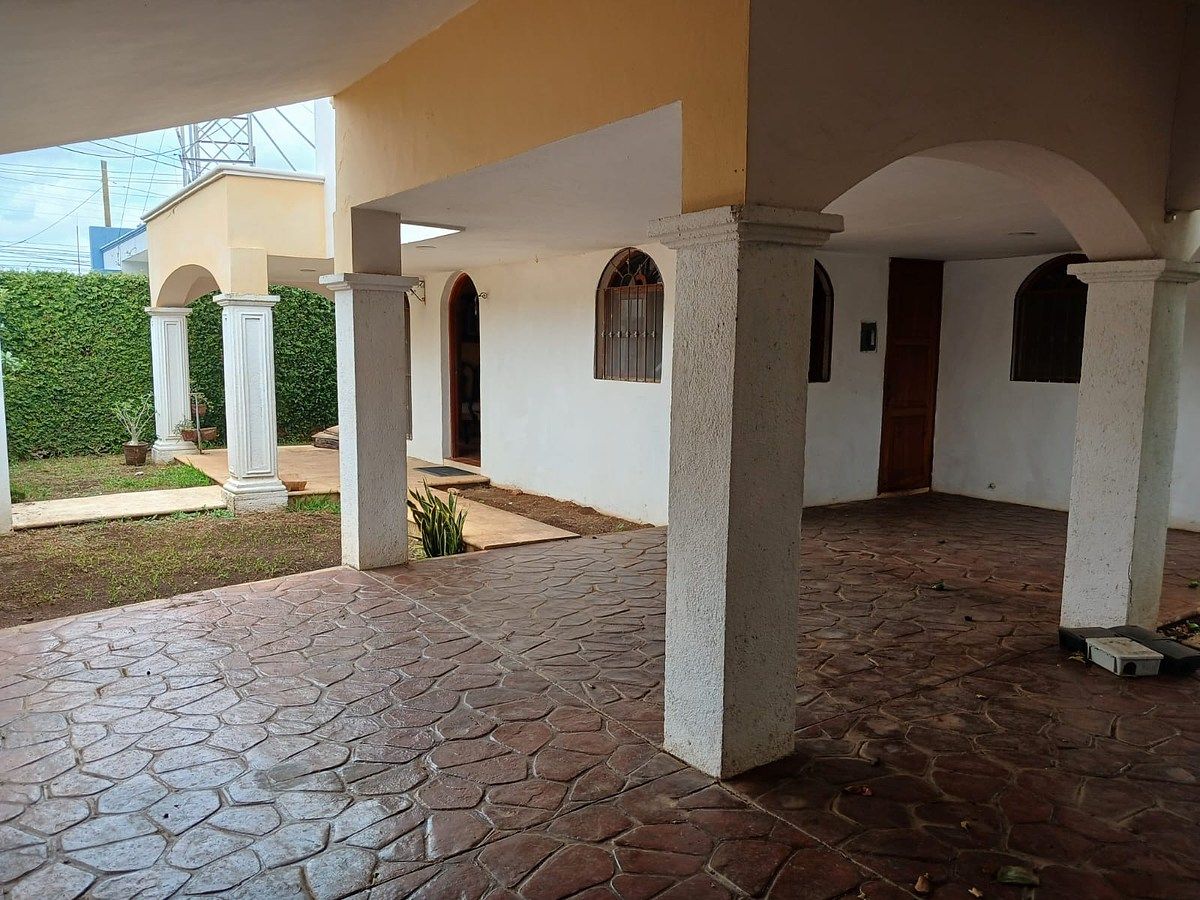 Tereza, foto 10 de 17