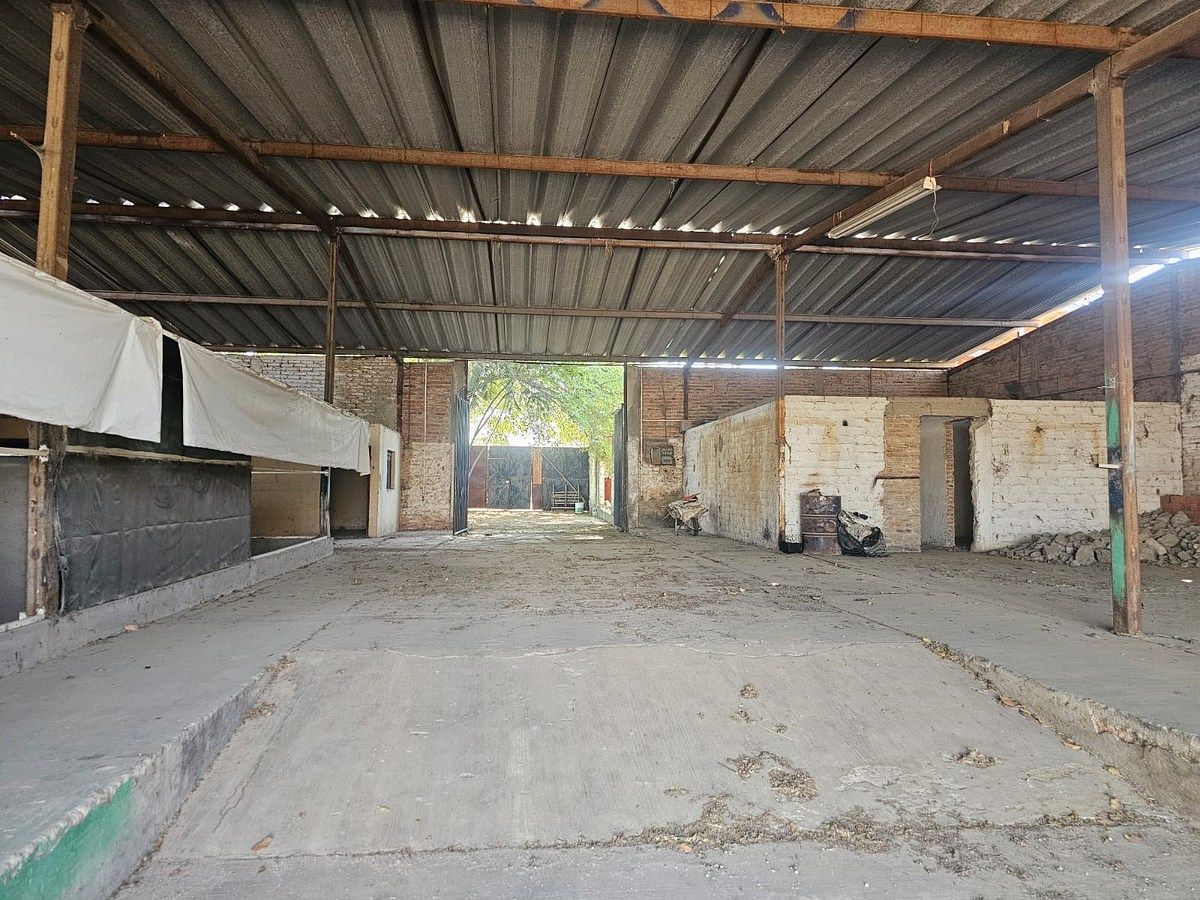 Lot in Rio Blanco, Zapopan, photo 4 of 19