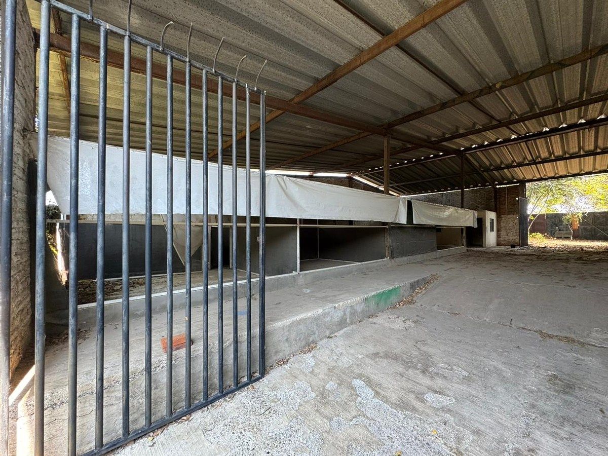 Lot in Rio Blanco, Zapopan, photo 5 of 19