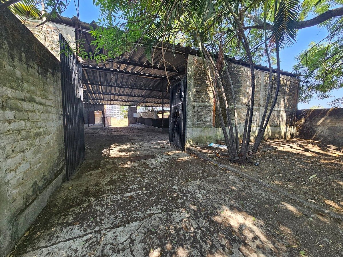 Lot in Rio Blanco, Zapopan, photo 7 of 19